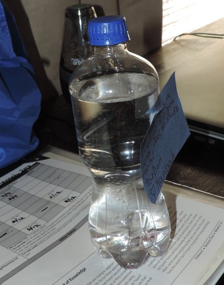 02 glitter ear model