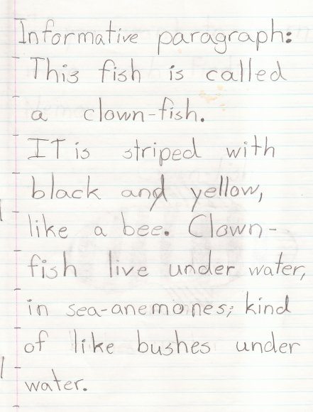 12 clownfish