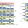 18 schedule