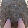 12 sand art