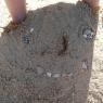 14 sandart