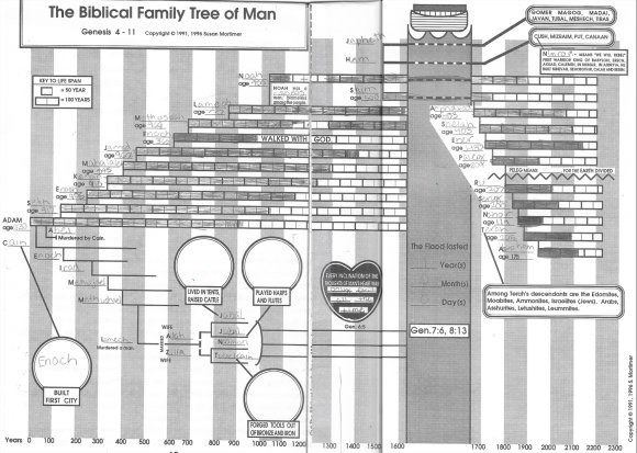 32 timeline