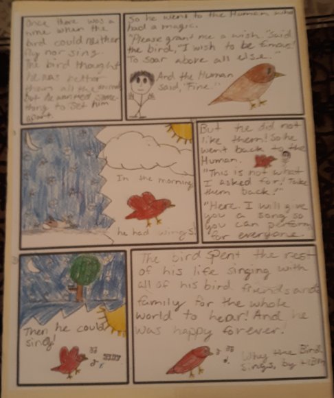 21 coref lapbook back
