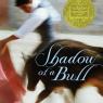 shadow of a bull