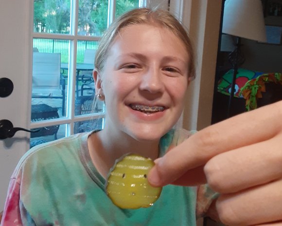 10 hannah pickle face