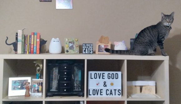 room decor (4)