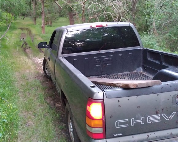 truck (1)