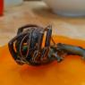 hermit crab (3)
