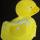 shower duck