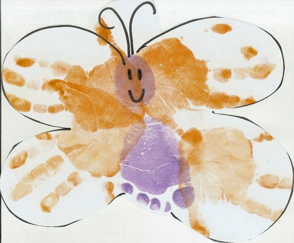 butterfly