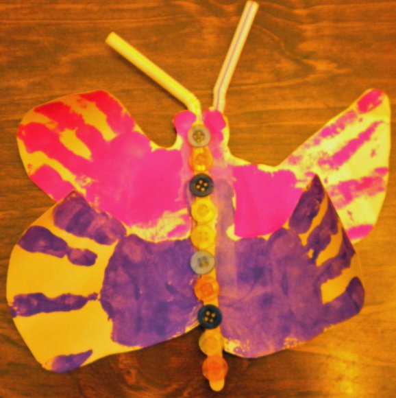 butterfly