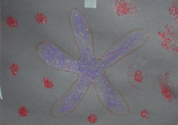 starfish