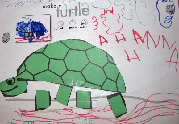 31 turtle