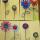05 flowers