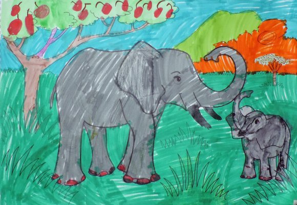 12 elephant