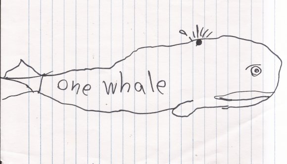 50 whale