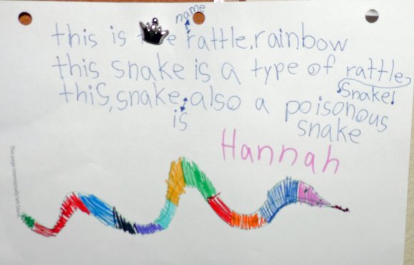 58 rainbow rattler
