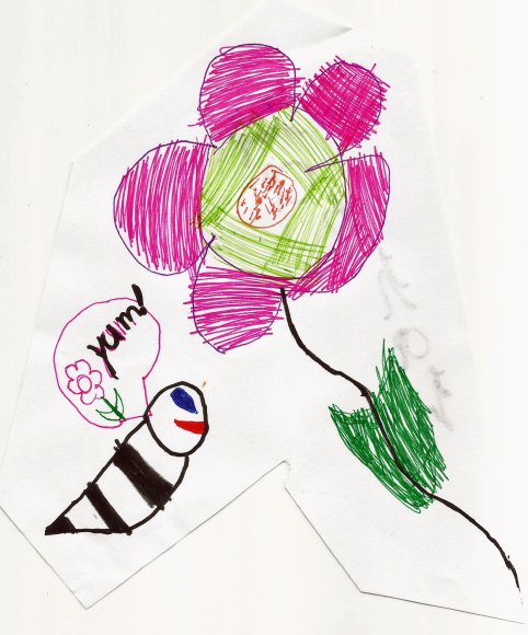 116 flower