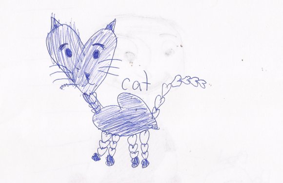 23 heart cat