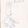 36 rabbit and bunny