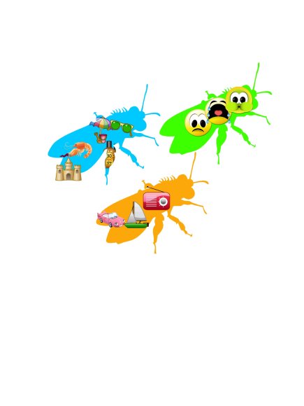 bugs