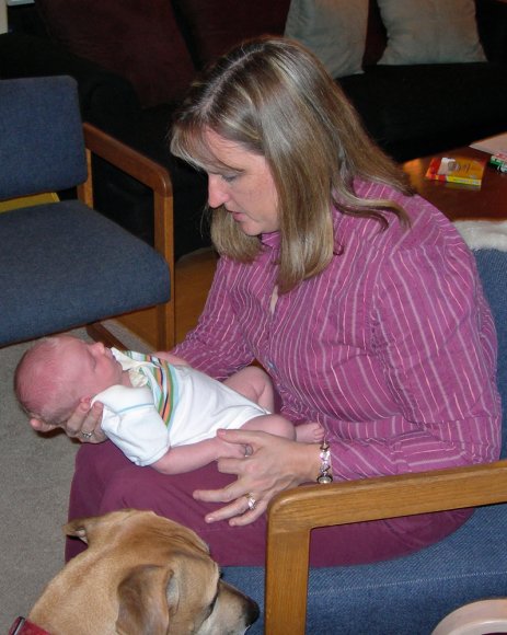 01 benjamin cassie