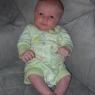 15 benjamin 1 month
