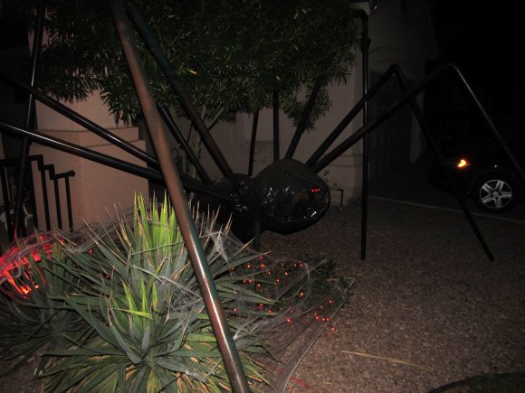 06 spider