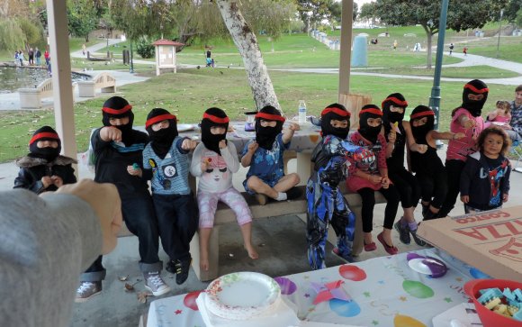 12 ninjas punch - benjamin hannah