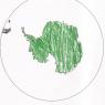 19 antarctica