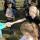 61 balloon toss