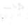 30 heiroglyphics