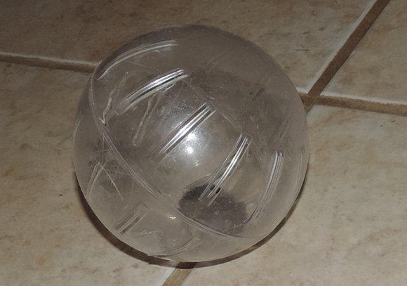 22 mouse