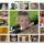 07 benjamin 5 yr collage