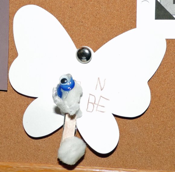 02 butterfly