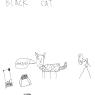 08 black cat