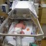 22 joel nicu
