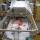 22 joel nicu