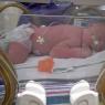 23 joel nicu