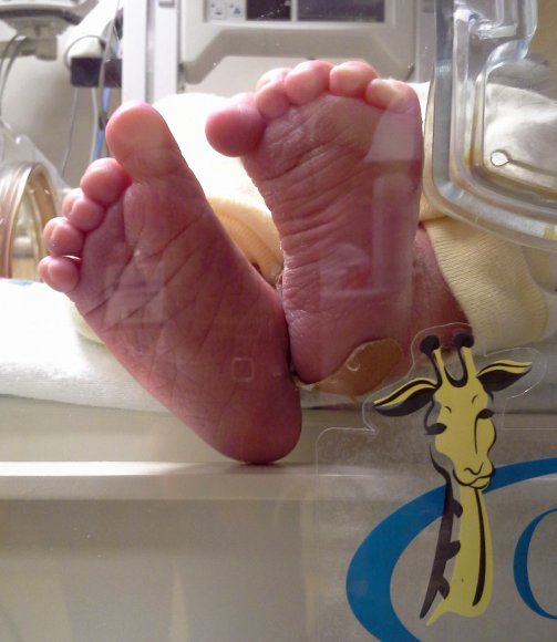 02 27 joel feet