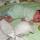 43 joel tummy time