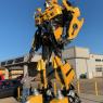 54 bumblebee donald2