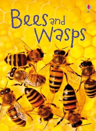 bees and wasps