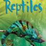 reptiles