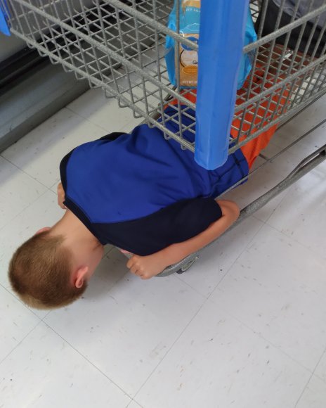 13 joel shopping cart (2)