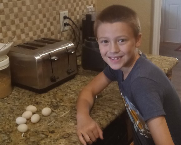 01 joel first eggs