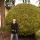 2 joel