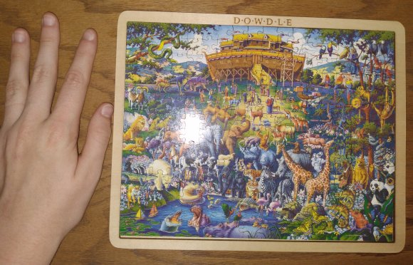 26 shawn puzzle