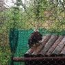 IMG_20251124_125355