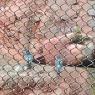 IMG_20251124_125833